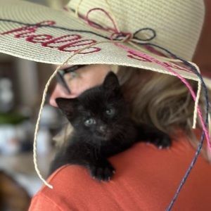 Meet your Posher, Kathy